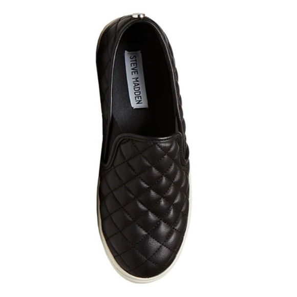 Steve Madden ECENTRIC-Q sneaker - Picture 5 of 11